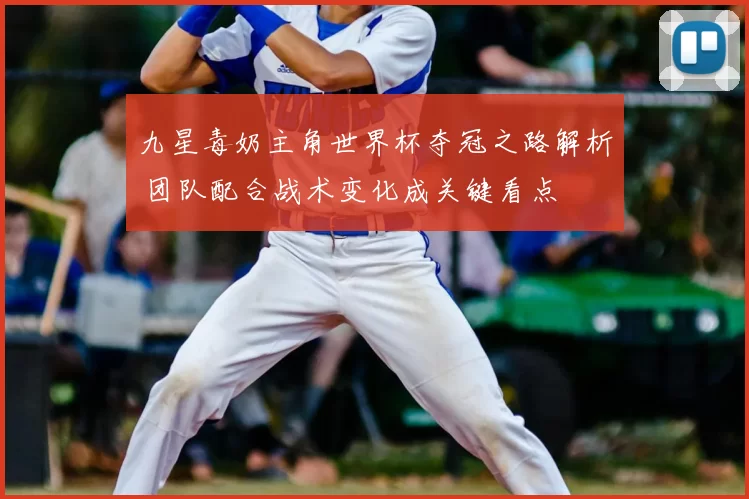 九星毒奶主角世界杯夺冠之路解析 团队配合战术变化成关键看点